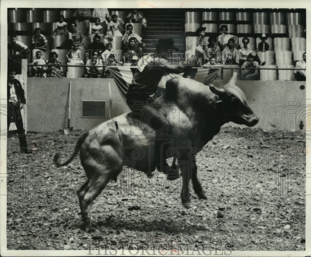 1958 Press Photo Cowboy Rides Bull in Rodeo at the Arena in Milwaukee, Wisconsin- Historic Images