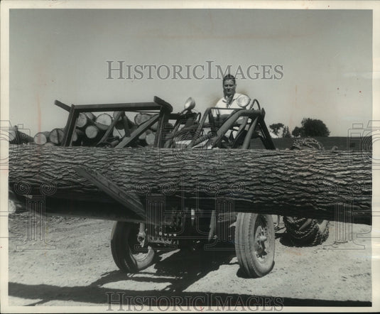1963 Press Photo Hollandale's Mrs. Schiess prefers log hauling to housework- Historic Images