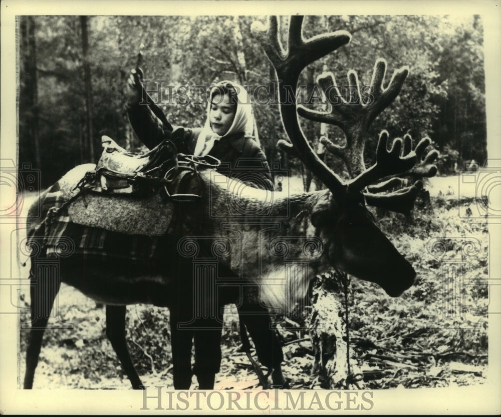 1968 Press Photo A Siberian local saddles a Reindeer in wild Russia - mjc08626