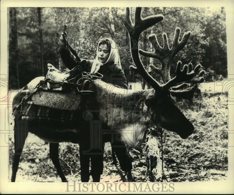 Load image into Gallery viewer, 1968 Press Photo A Siberian local saddles a Reindeer in wild Russia - mjc08626
