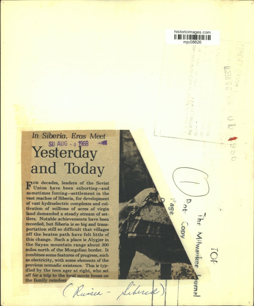 1968 Press Photo A Siberian local saddles a Reindeer in wild Russia - mjc08626