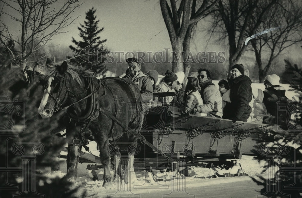 1985 Press Photo Horses pulling a sleigh of passengers - mjc13473- Historic Images