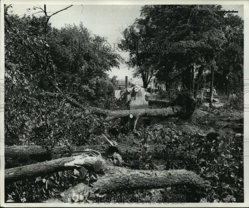 Load image into Gallery viewer, 1957 Press Photo Torn down trees on highway 100 in Wauwatosa, Wisconsin
