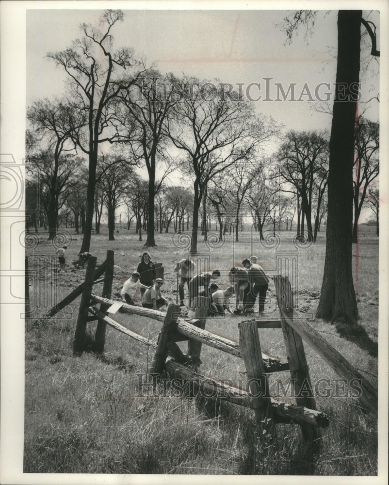 1962 Press Photo University School of Milwaukee students plant trees- Historic Images