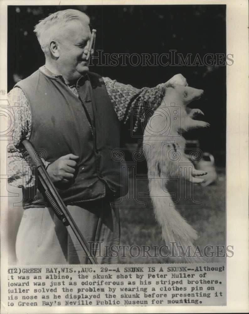 1963 Press Photo Peter Muller of Green Bay holds up an Albino Skunk - mjc16687- Historic Images