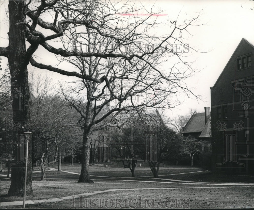 1963 Press Photo A peaceful spot at the UWM old Milwaukee-Downer campus- Historic Images