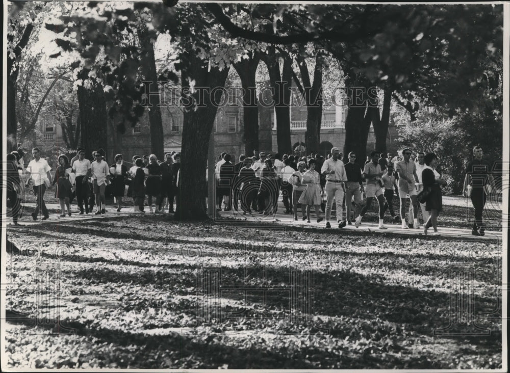 1963 Press Photo Walkway beneath elms of Boscom hill filled with students, WI.