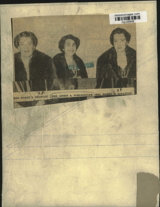 1938 Press Photo Mrs. Harry L. Bradley, Mrs. Armin A. Schlesinger & other