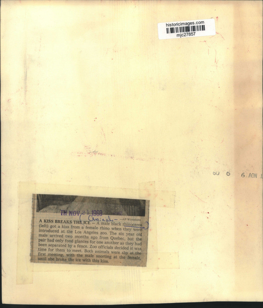 1968 Press Photo Los Angeles Zoo - Male and Female Rhinoceroses - mjc27857