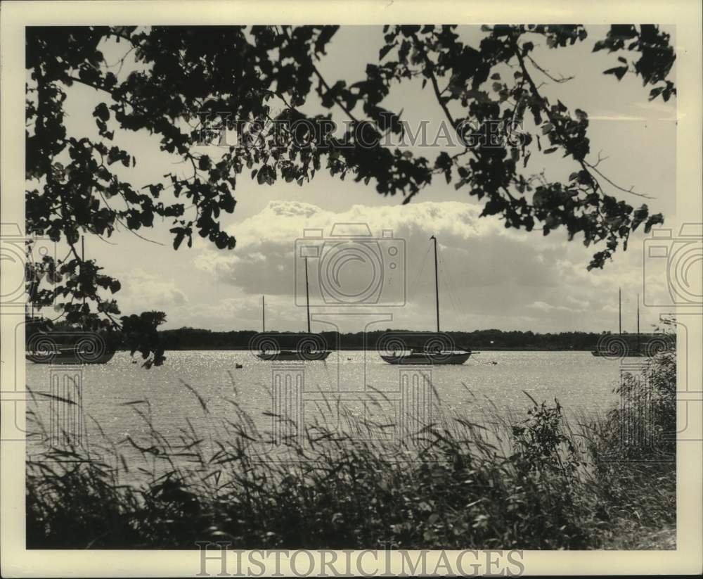 1953 Press Photo Sailboats at Sturgeon Bay, Wisconsin - mjc29118