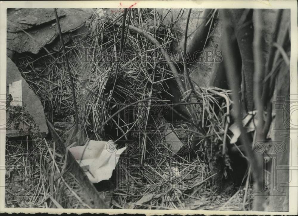 1966 Press Photo Improperly handled garbage in an Milwaukee alley - mjc29314- Historic Images