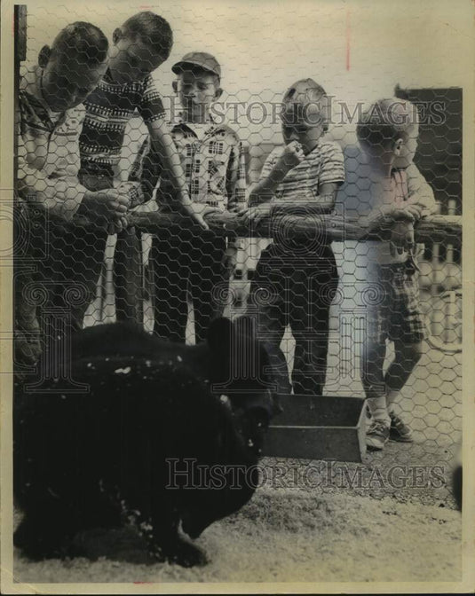 1963 Press Photo "Name The Bears" contest at The Milwaukee Sentinel Sports Show- Historic Images