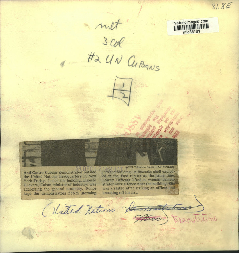 1964 Press Photo Officers lift a woman demonstrator over fence near UN, New York