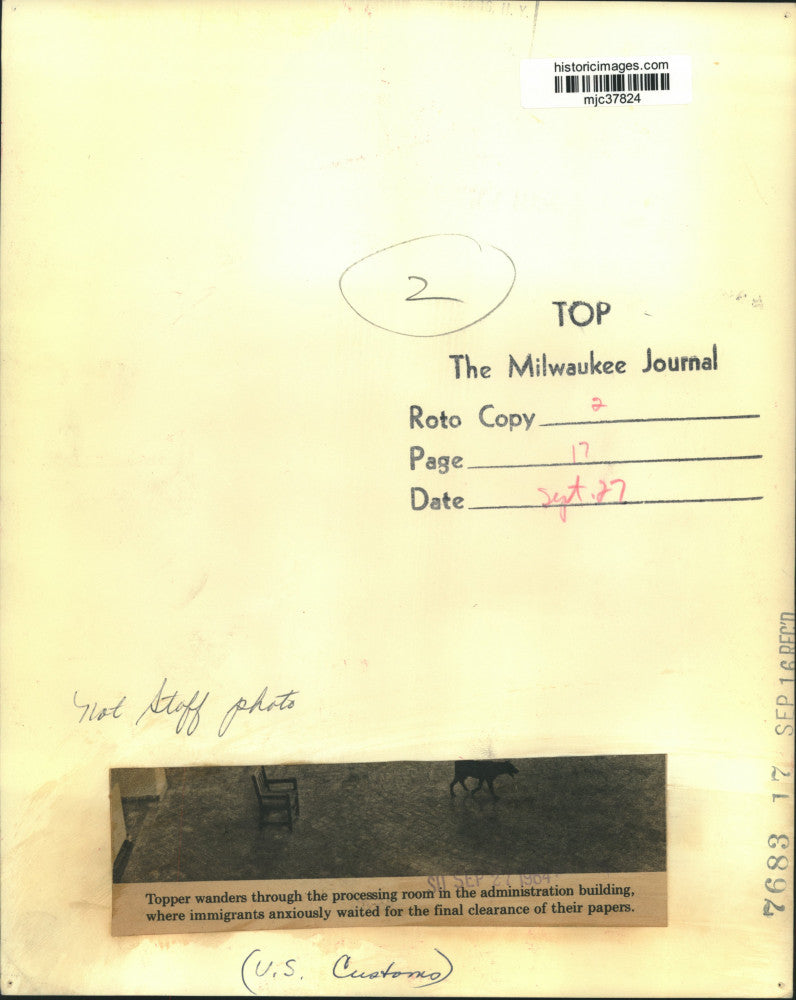 1964 Press Photo A dog wanders at the United States Customs building's interior