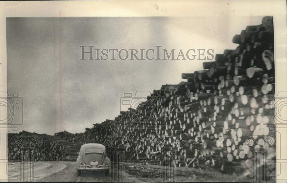 1964 Press Photo Logs piled high on Menominee county land, Wisconsin - mjc38172