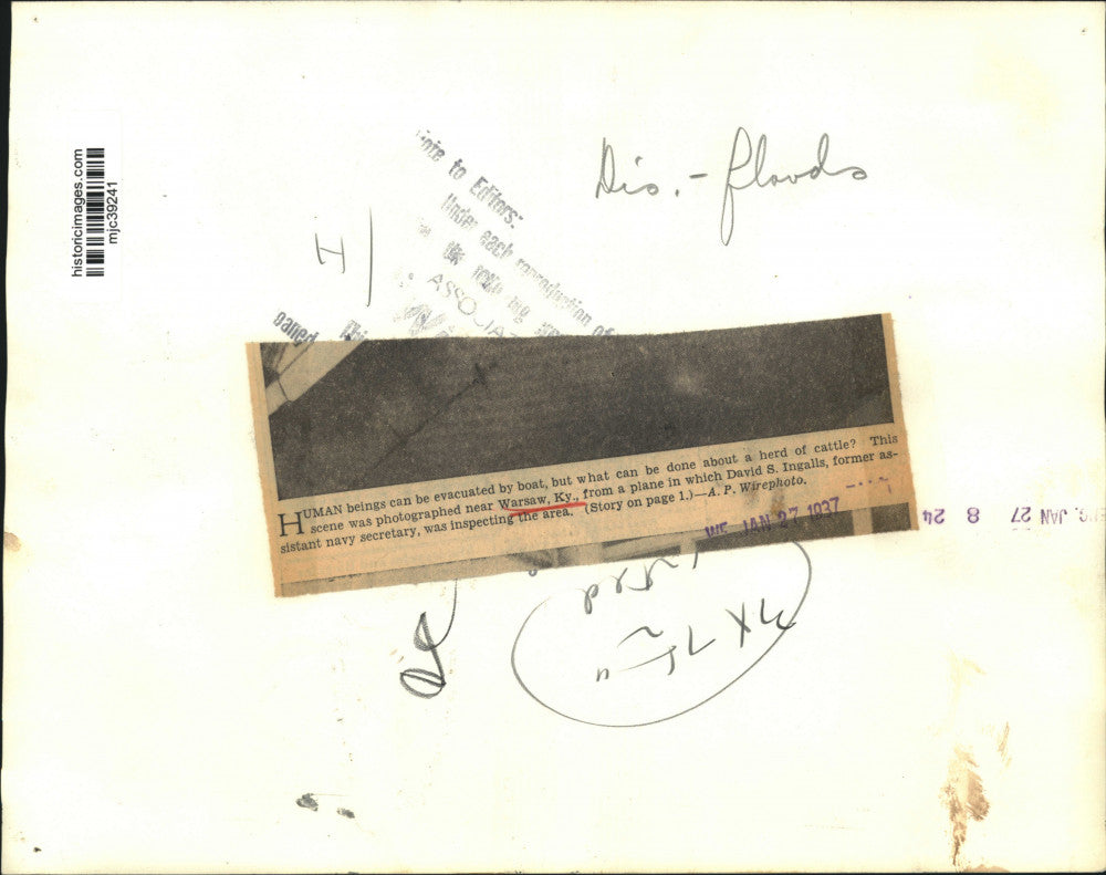 1937 Press Photo herd of cattle on a flooded farm in Warsaw, Kentucky