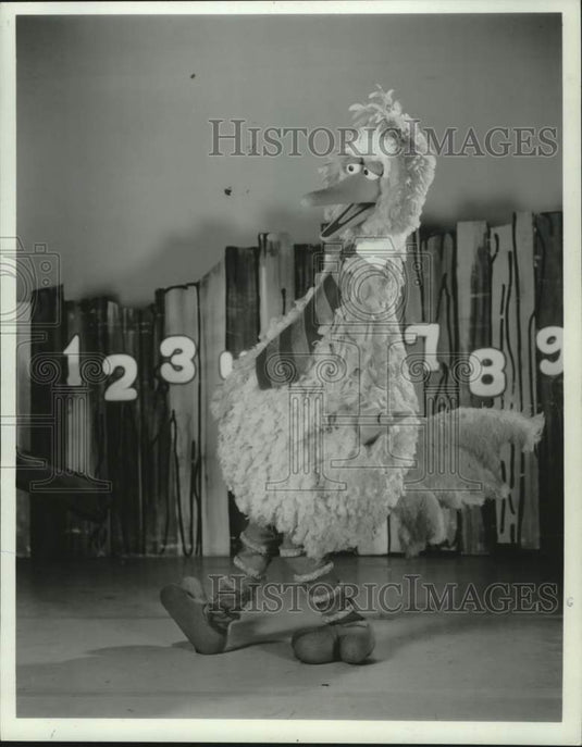 1981 Press Photo Big Bird on Sesame Street. - mjc41043- Historic Images