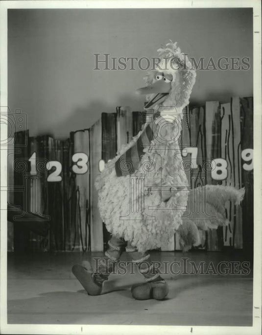 1981 Press Photo Big Bird in Big Bird's Super Spectacular Totally Amateur Show- Historic Images