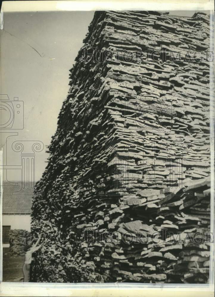 1936 Press Photo Huge pile of raw cork outside a factory in Portugal - mjc41098