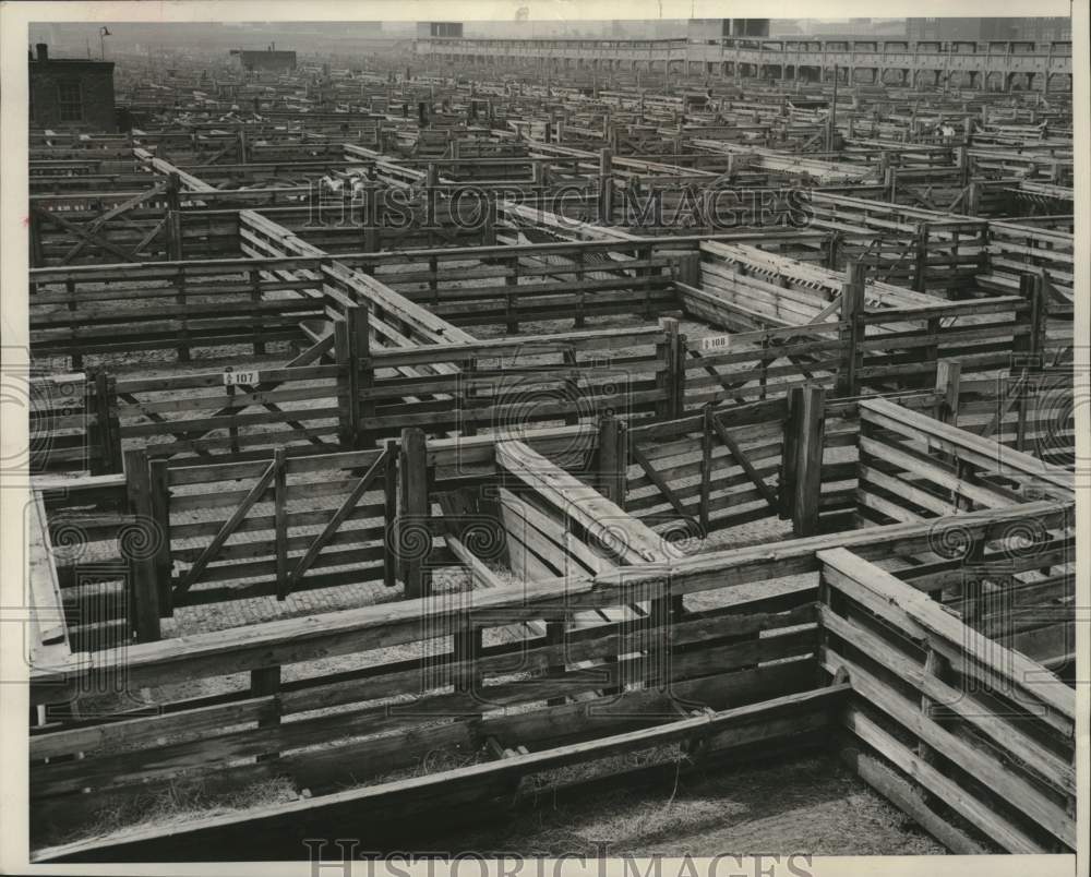 1951 Press Photo Country&#39;s largest Stockyard empty, Chicago, Illinois