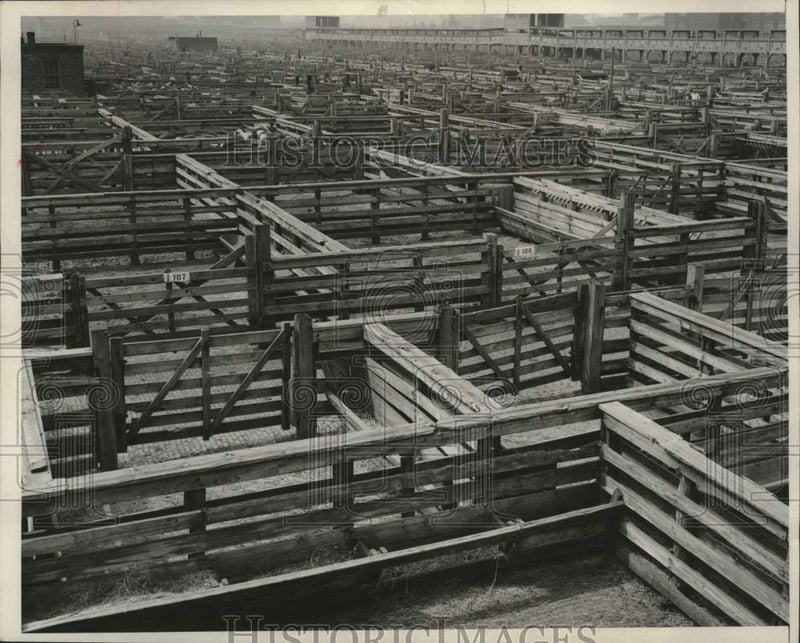Load image into Gallery viewer, 1951 Press Photo Country's largest Stockyard empty, Chicago, Illinois
