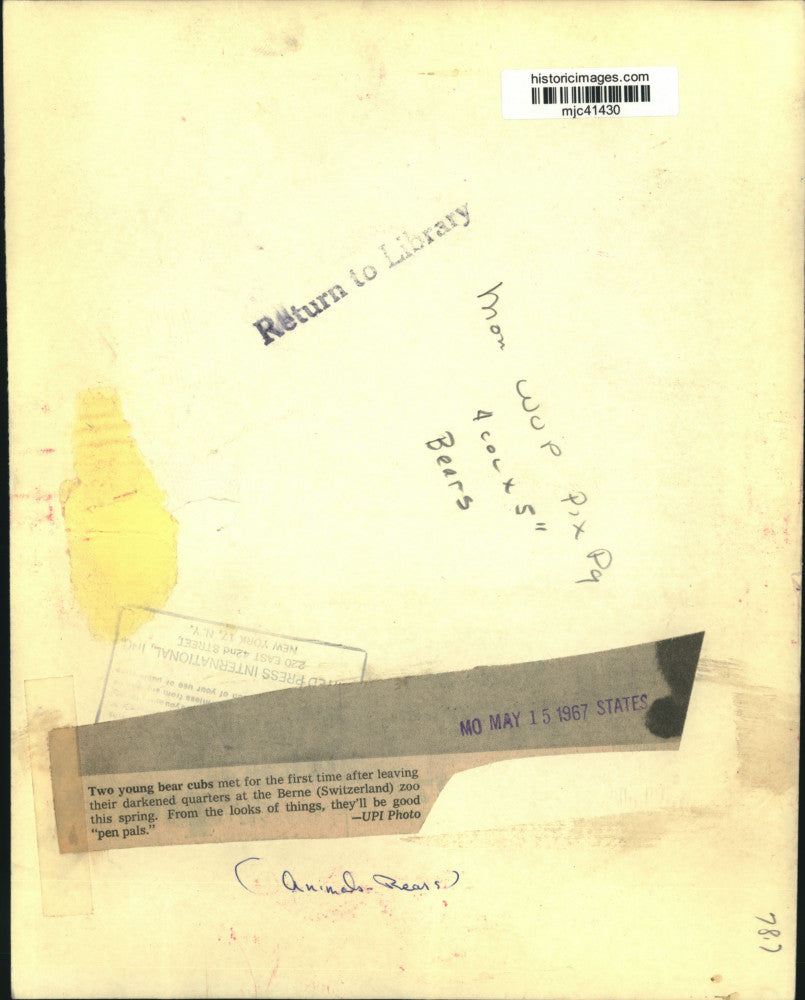 1967 Press Photo Two young bear cubs meet at the Berne zoo in Switzerland.