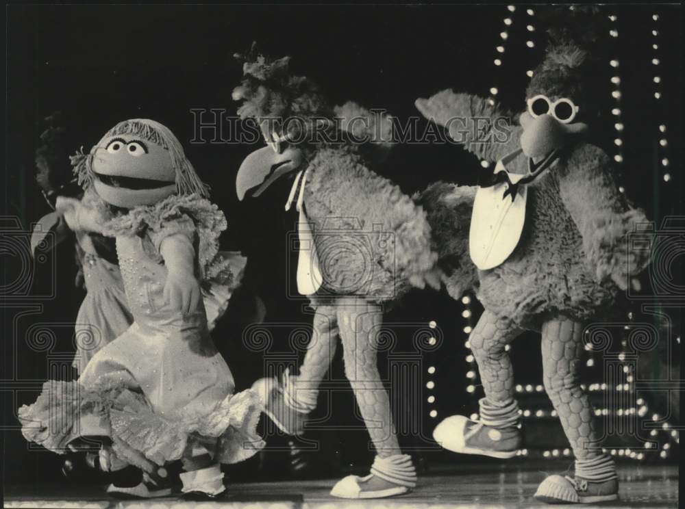 1984 Press Photo Sesame Street on stage for &quot;Missing Bird Mystery,&quot; at MECCA.- Historic Images