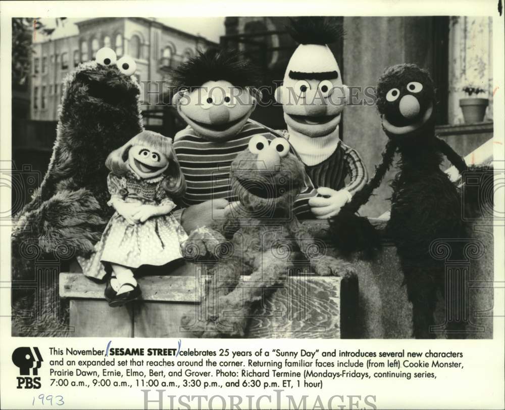 1993 Press Photo Popular Sesame Street show characters "Sunny Day" 25th year- Historic Images