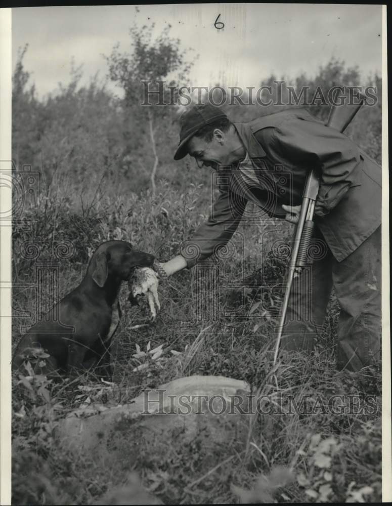 1950 Press Photo Retriever Dusty Returns Prairie Chicken to Hunter Fred Miller- Historic Images