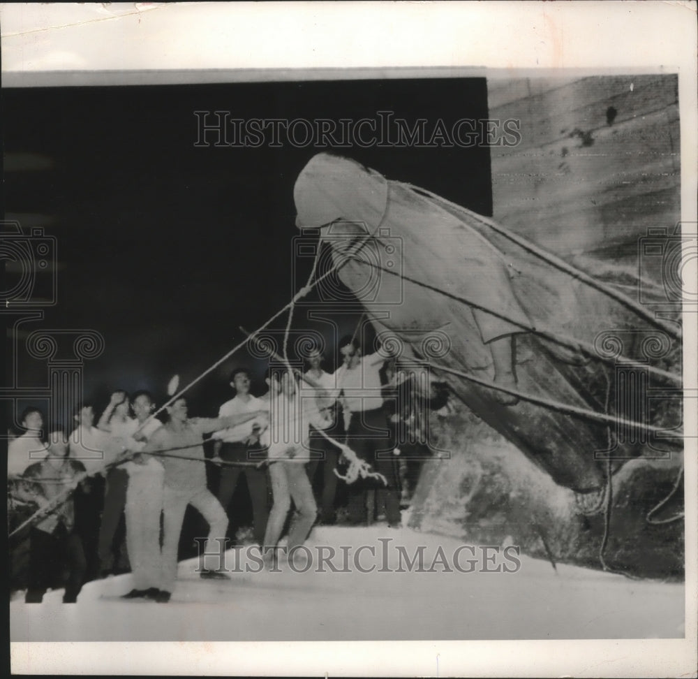 1964 Press Photo Vietnamese students pulling down figure of peace in Saigon