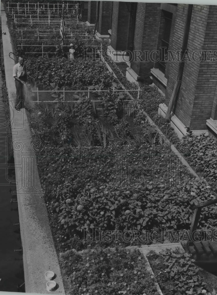 1946 Press Photo Garden Maintained by Martin Stops, Milwaukee, WIsconsin