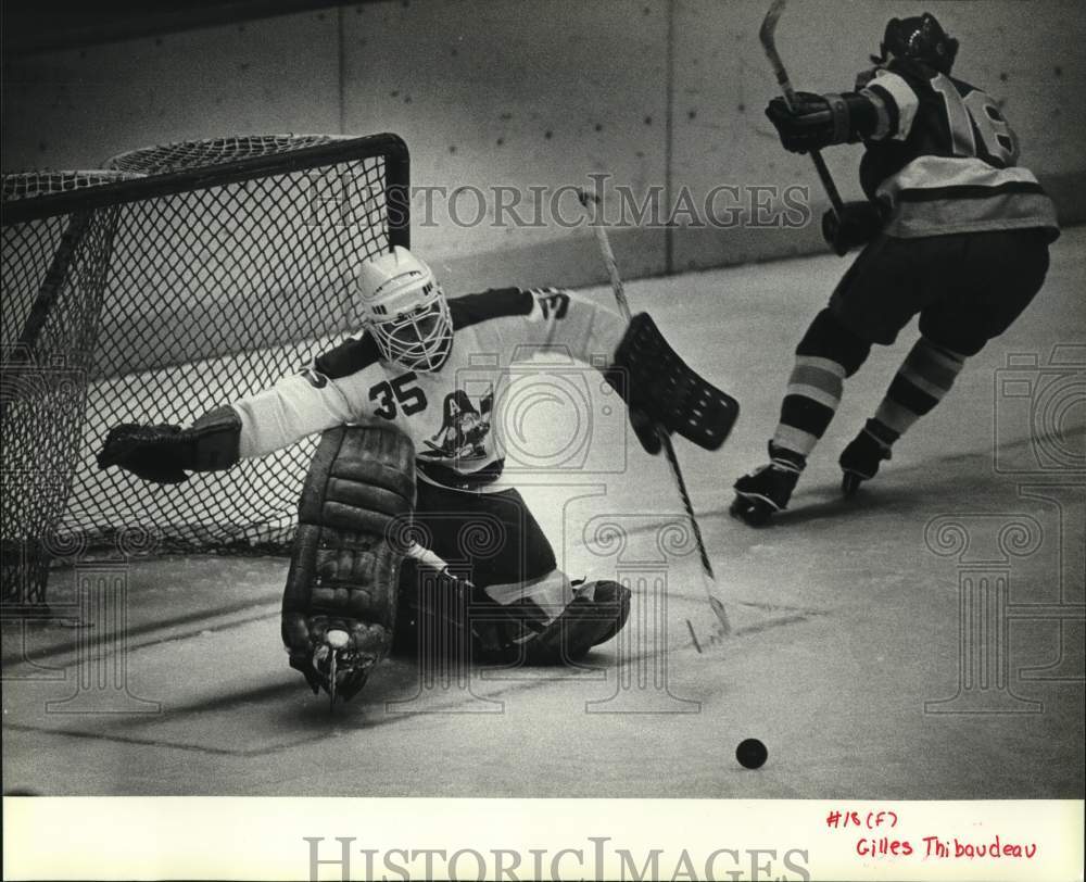 1984 Press Photo Admiral goalie Jim Ralph makes save at Arena hockey game- Historic Images