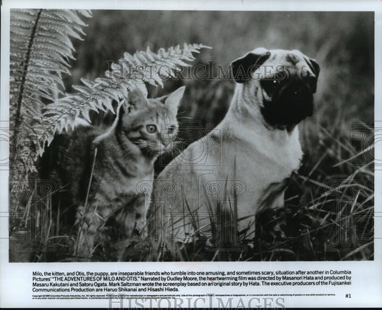 1989 Press Photo Milo and Otis in "The Adventures of Milo and Otis" - mjp01550- Historic Images