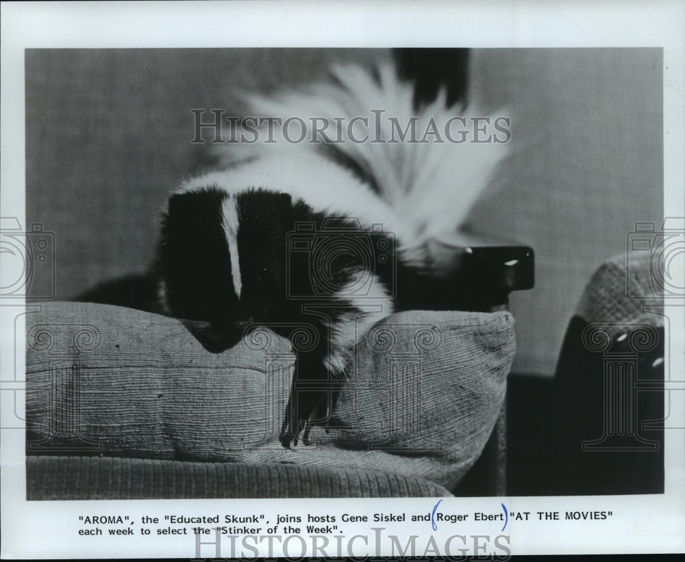 1983 Press Photo &quot;AROMA&quot;, the &quot;Educated Skunk&quot; - mjp01658- Historic Images