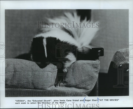 1983 Press Photo "AROMA", the "Educated Skunk" - mjp01658- Historic Images