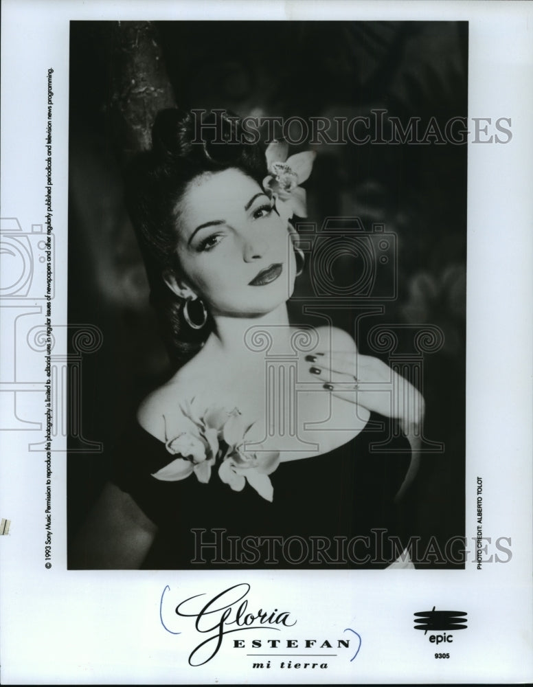 1993 Press Photo Gloria Estefan, singer - mjp02149- Historic Images