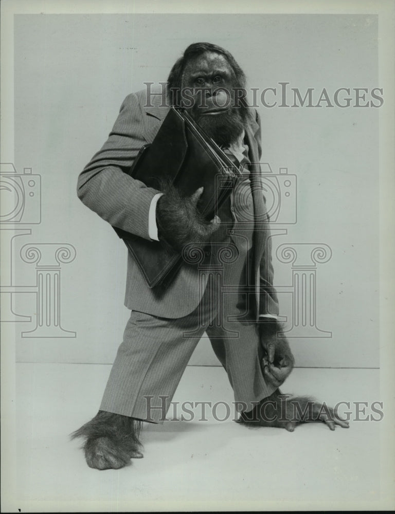 1983 Press Photo C.J. as Mr. Smith in &quot;Mr. Smith&quot; - mjp02465- Historic Images