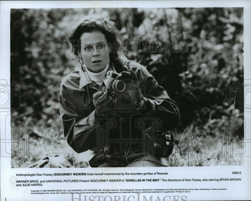 1988 Press Photo Sigourney Weaver in "Gorillas in the Mist" - mjp03274