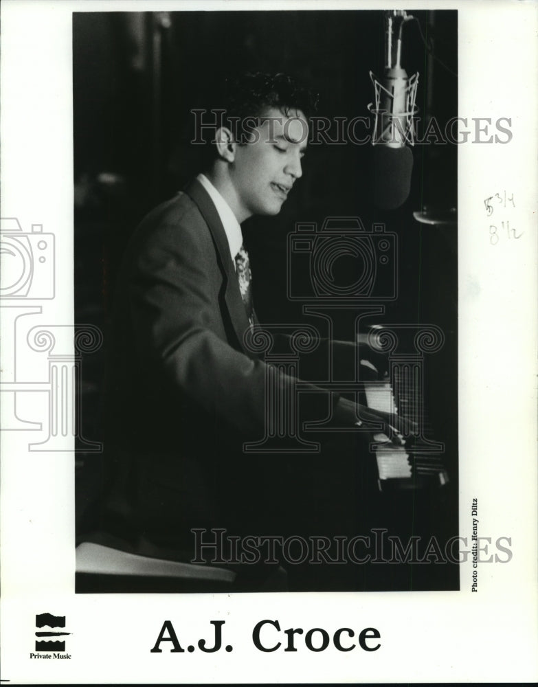 1994 Press Photo Portrait of A.J. Croce, Musician - mjp07405- Historic Images