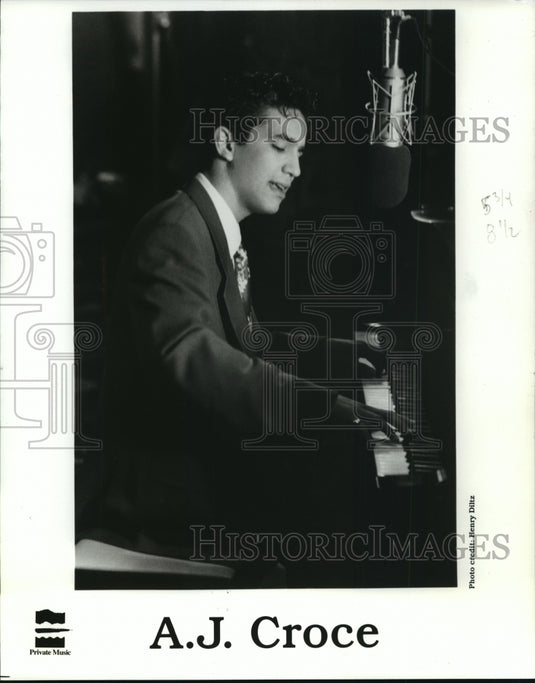 1994 Press Photo Portrait of A.J. Croce, Musician - mjp07405- Historic Images