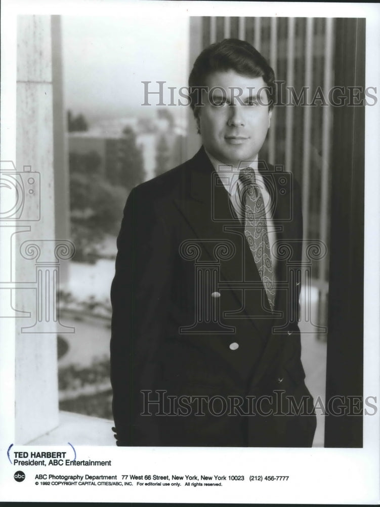 1992 Press Photo Ted Harbert, president of ABC Entertainment - mjp26682- Historic Images