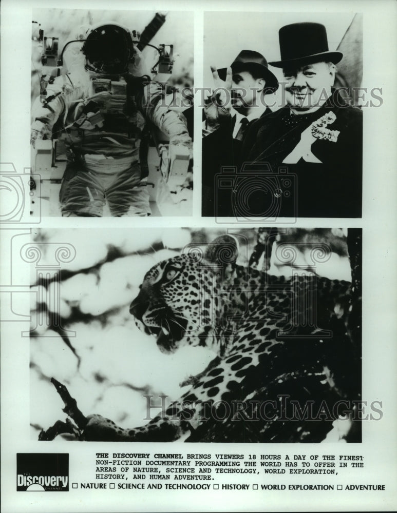 1988 Press Photo Various Documentaries Featured on the Discovery Channel- Historic Images