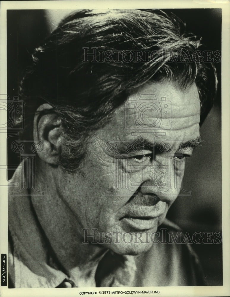 1973 Press Photo actor Robert Ryan stars in &quot;Lolly-Modonna&quot; - mjp36566- Historic Images