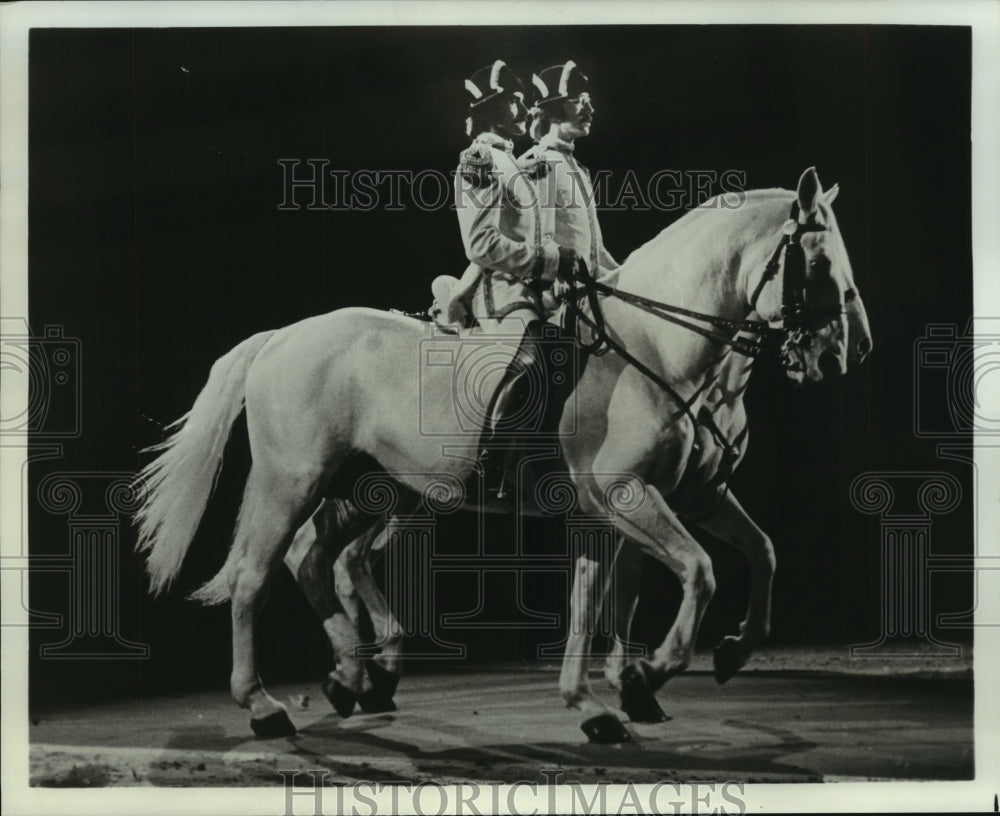 1978 Press Photo Royal Lipizzan Stallions of Vienna with equestrians at show.- Historic Images