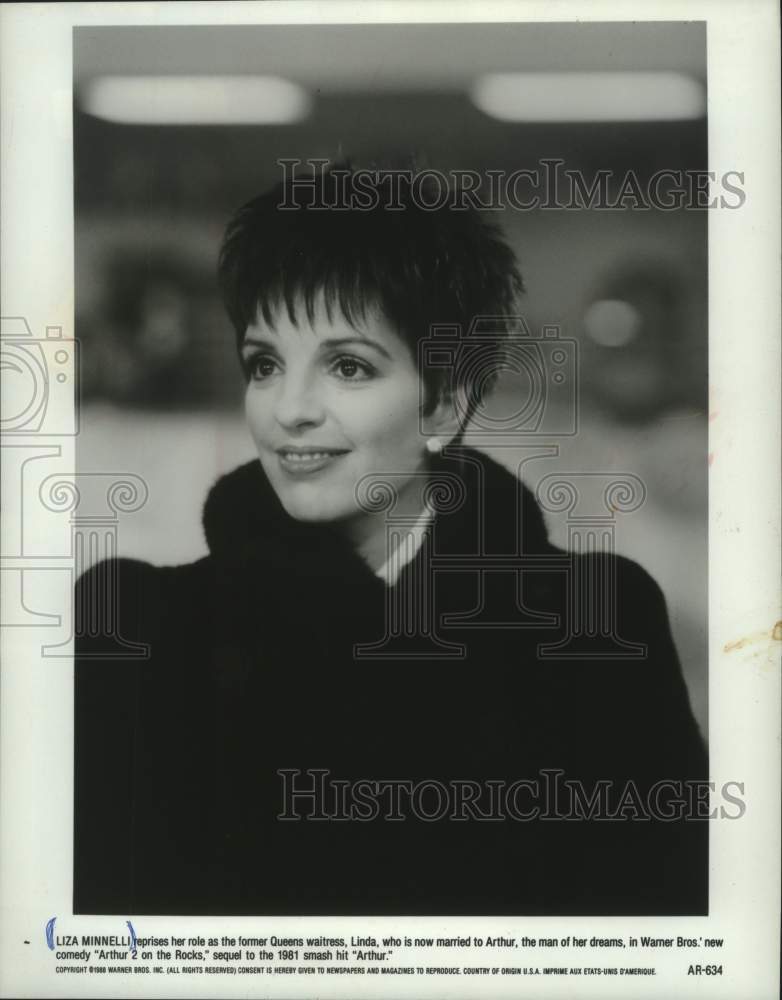 1988 Press Photo Liza Minnelli stars again this time in &quot;Arthur 2 on the Rocks.&quot;- Historic Images