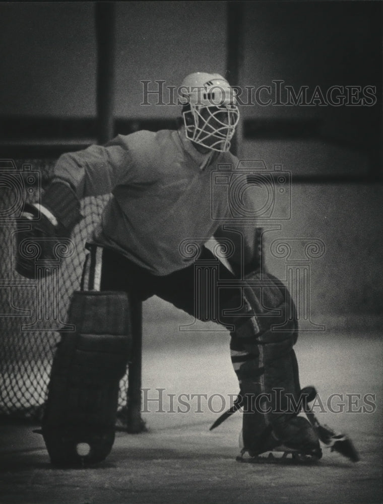 1984 Press Photo Milwaukee Admirals hockey goalie Jim Ralph guards the net- Historic Images