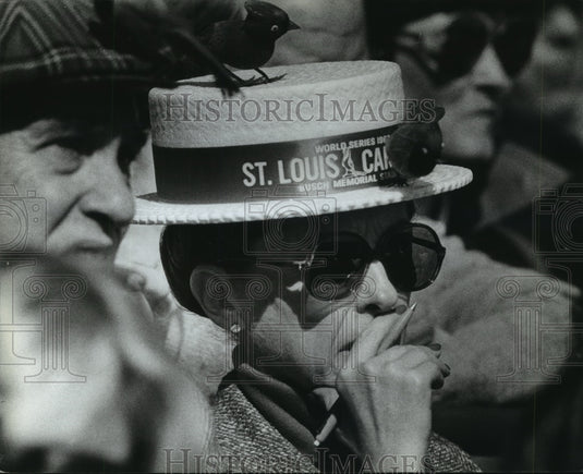 1982 Press Photo Saint Louis Cardinal fan disappointed with World Series- Historic Images