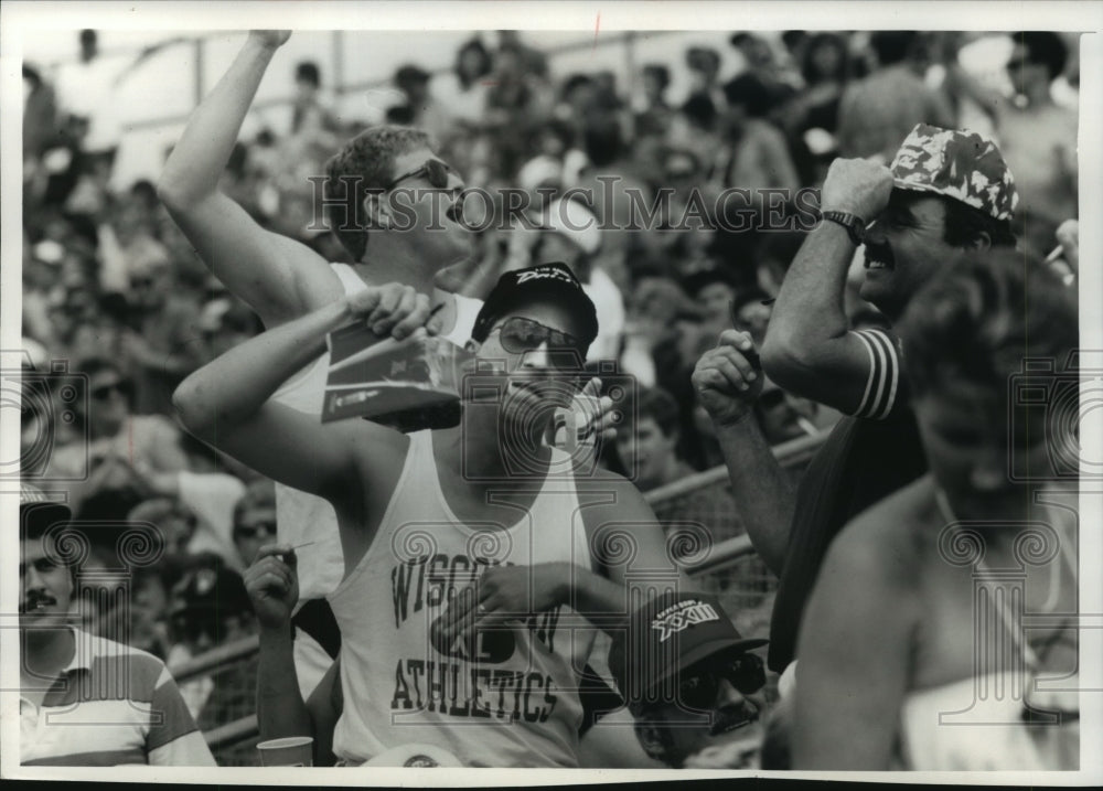 1989 Press Photo Baseball fans cheer for the Brewers during game with Red Sox- Historic Images