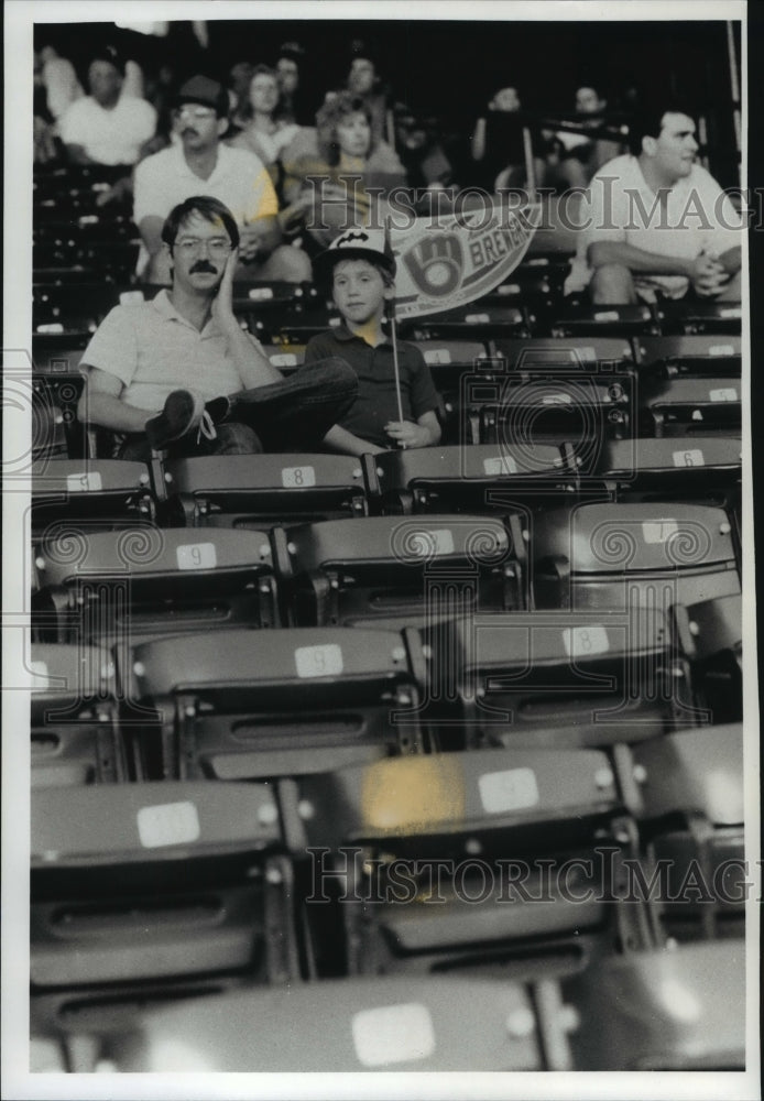 1989 Press Photo Brewer fans and empty seats at game, Brewers drop in standings.- Historic Images