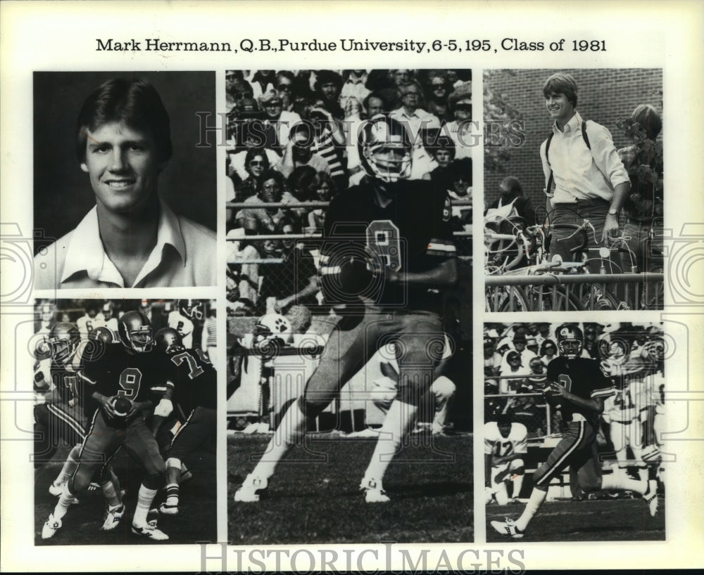 1979 Press Photo Five photographs of Purdue&#39;s quarterback Mark Herrmann.- Historic Images